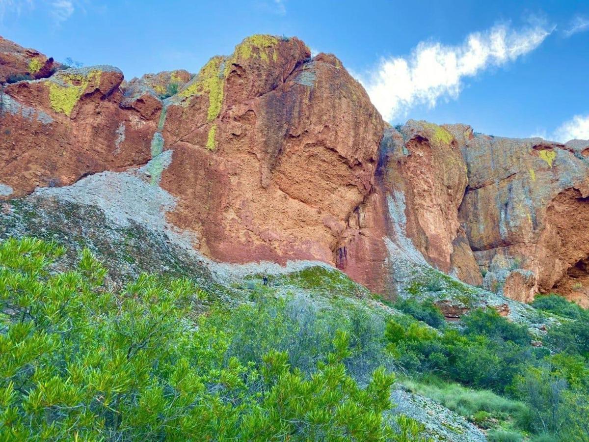 Red Mountain Ridge Karoo Oasis And Guest Farm Apartment Buffelskloof ภายนอก รูปภาพ